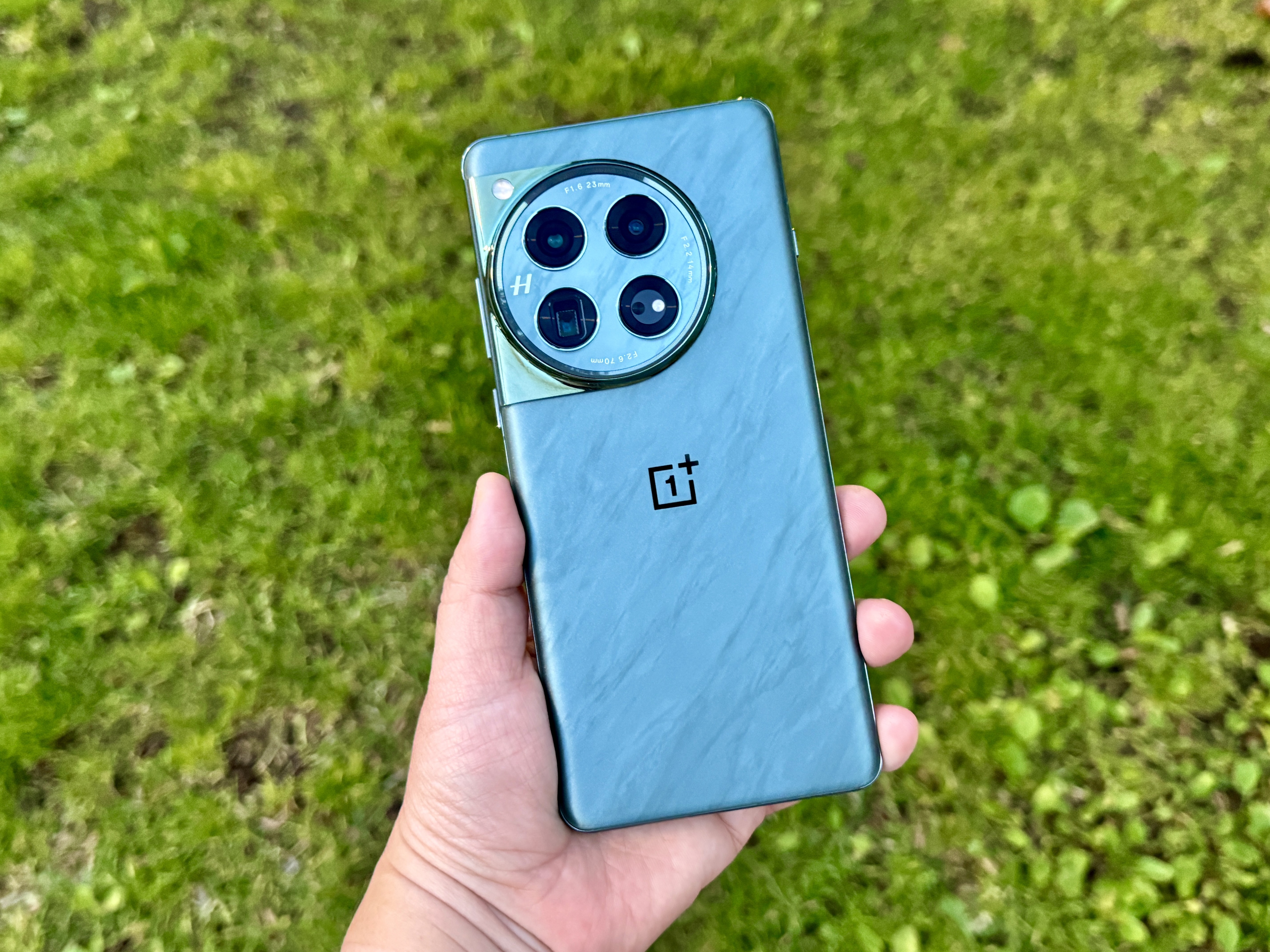 OnePlus 12 Flowy Emerald sostenido en la mano sobre fondo de hierba.