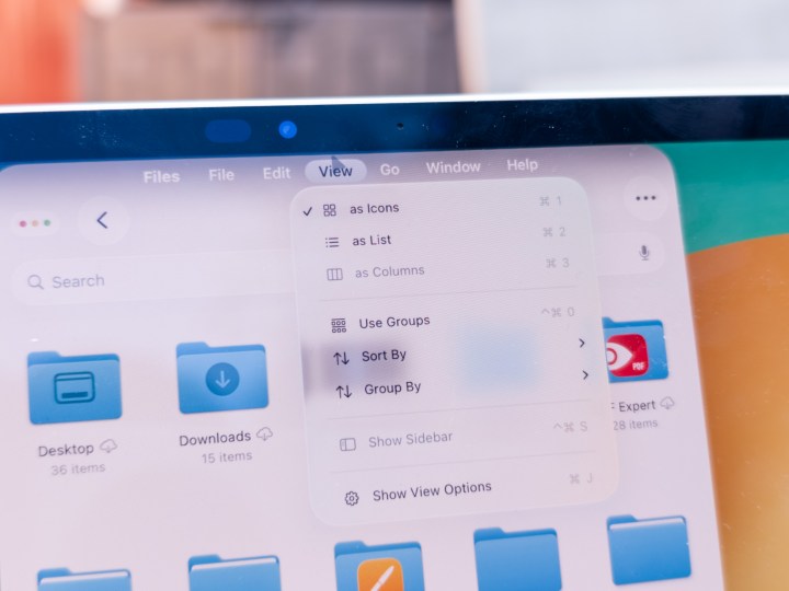 Files app and the new View menu on iPadOS 26 developer beta 1 running on an iPad Pro M4 11-inch
